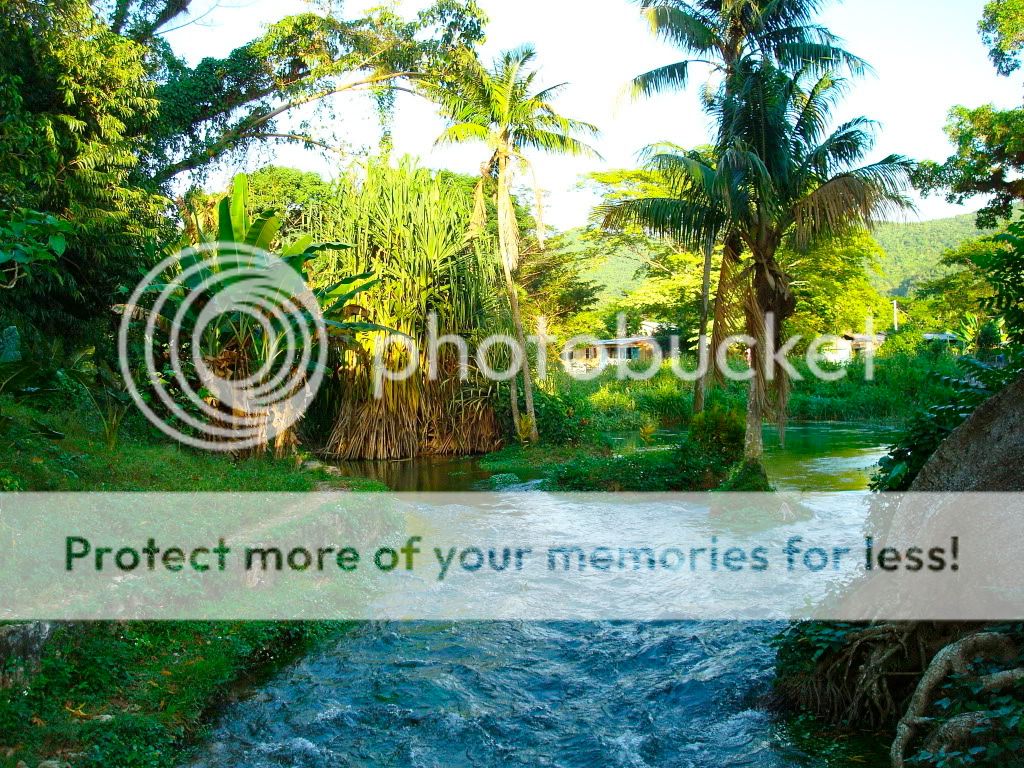 Jamaican Landscape Photo by SaraGreg Photobucket